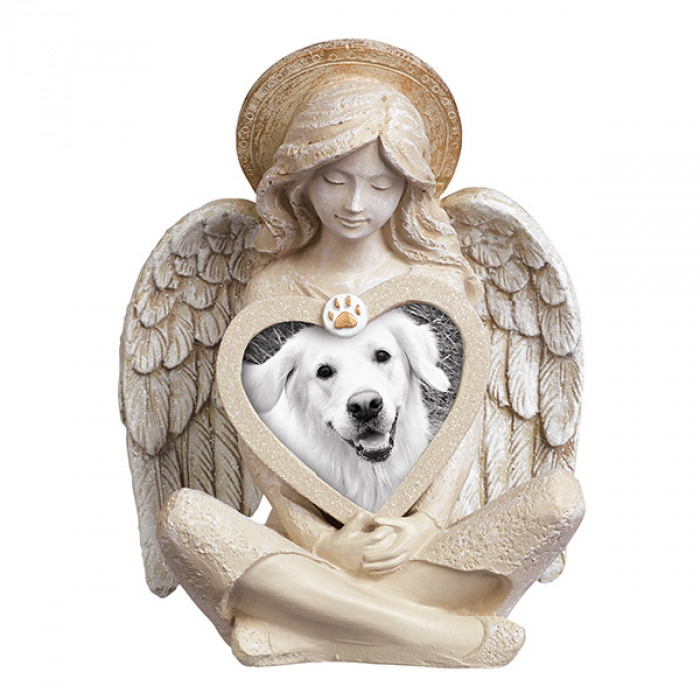 Angel Pet. Pet angel